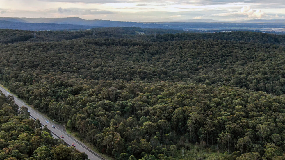 Link-Road-Drone-Shot-1-980×551