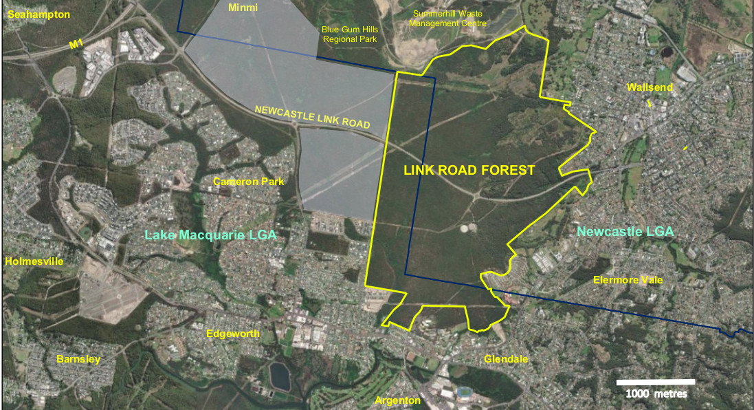 A map showing the boundary of the Link Road Forest land owned by Eden Estates.