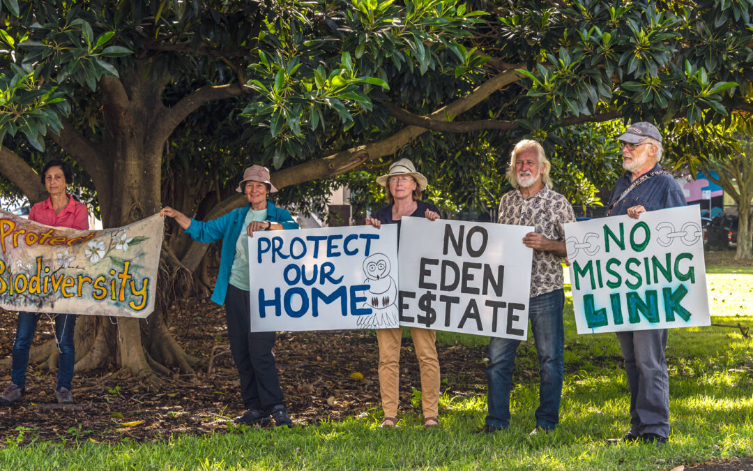 2NURFM: “Lord Mayoral Candidates Speak Out On Link Road Forest”
