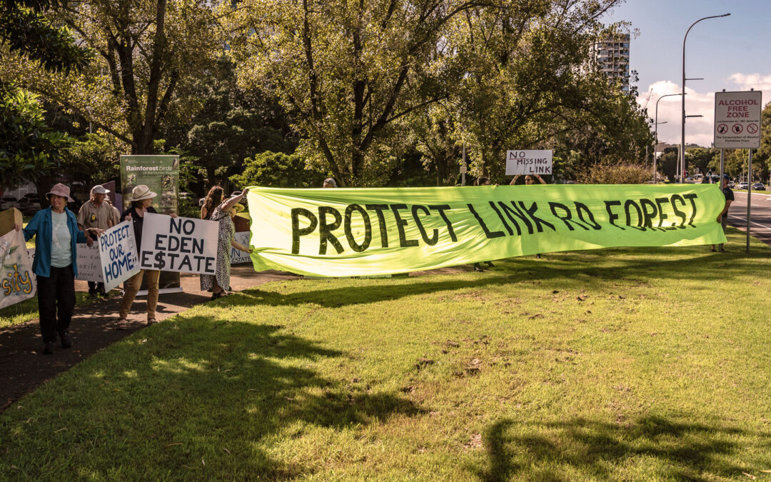 Newcastle Weekly: “Council endorses national park for Link Road Forest