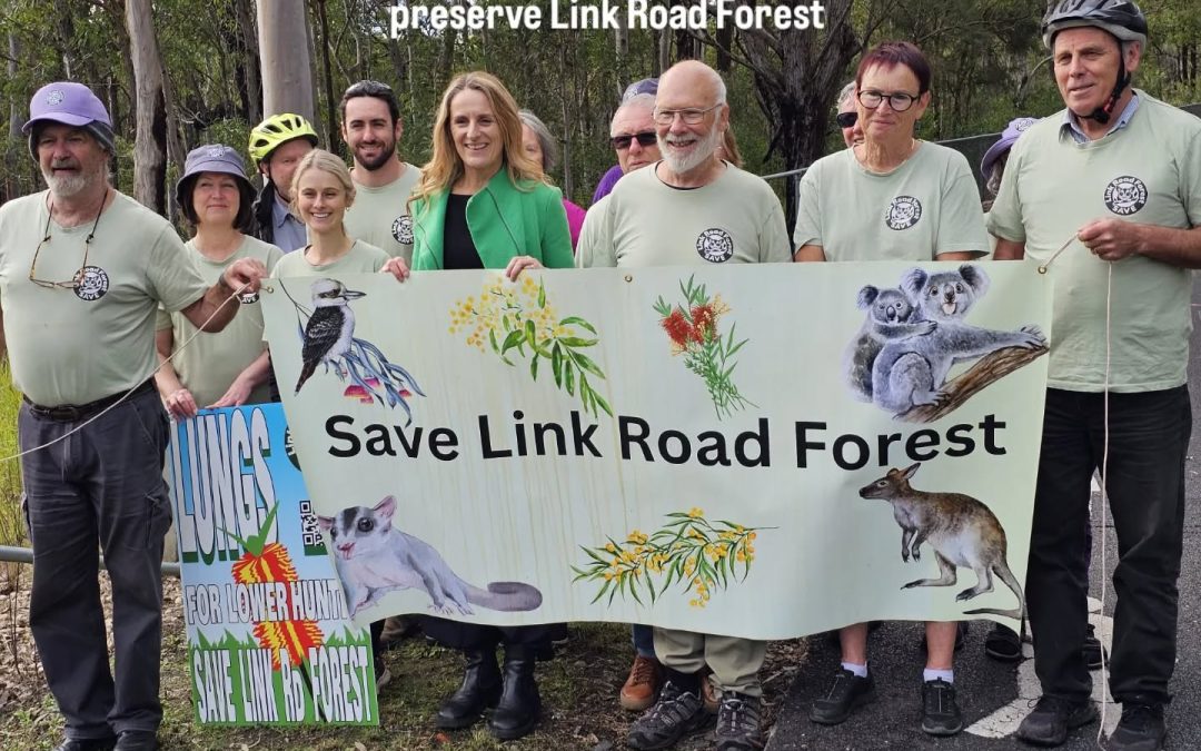 NBN: “Link Road Forest Campaign launches e-petition”