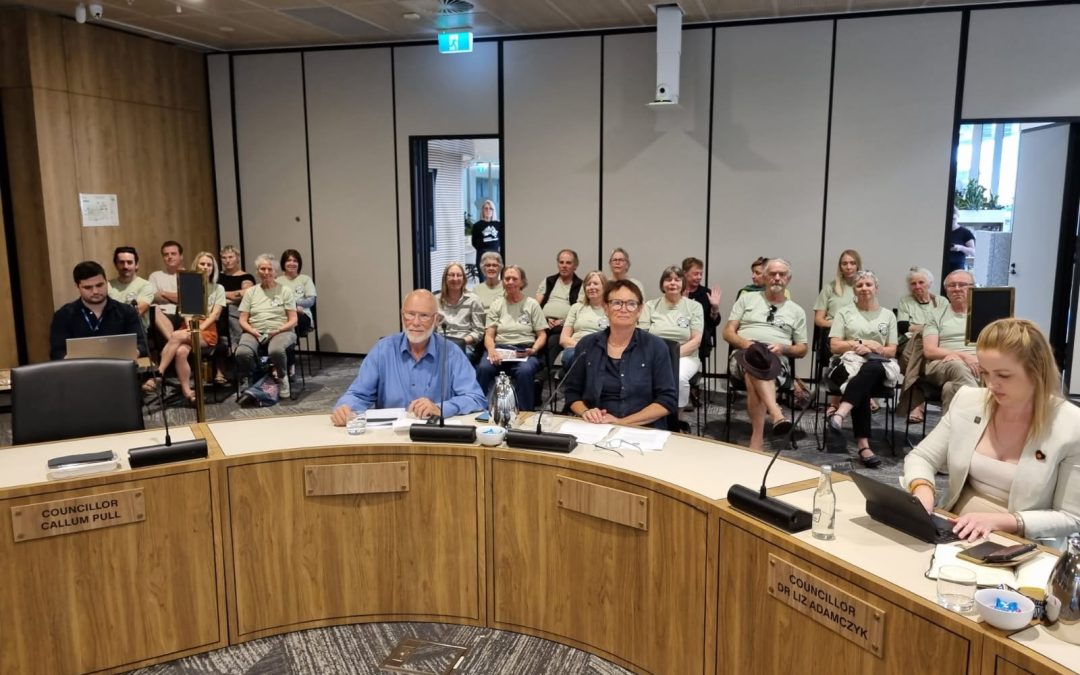 Council briefed on proposal for a Link Road Forest National Park