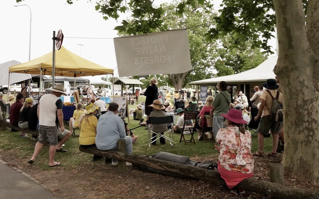 NBN: “Calls for Link Rd Forest to become national park”