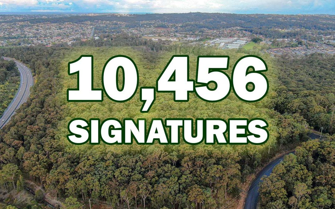 The Link Road Forest epetition to the NSW Legislative Council