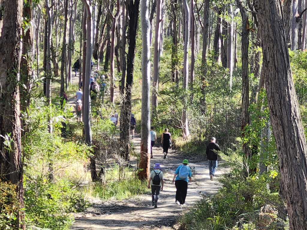 People walking in the forest