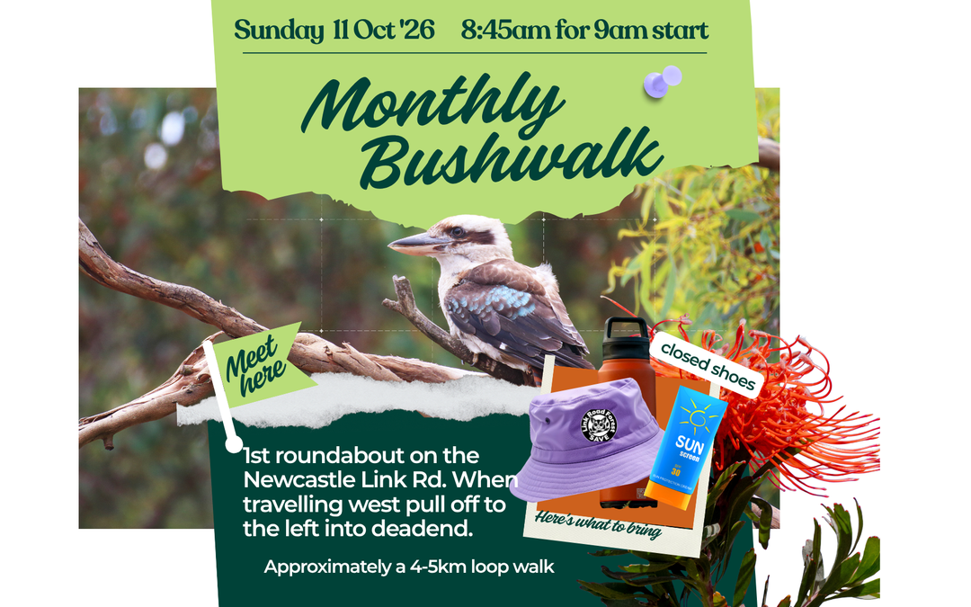 Monthly Walk in the Forest